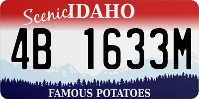 ID license plate 4B1633M