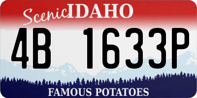 ID license plate 4B1633P