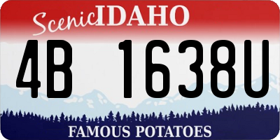 ID license plate 4B1638U