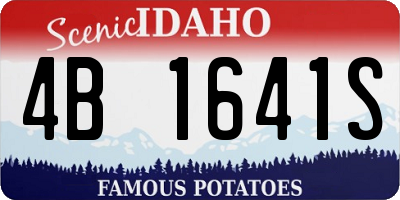 ID license plate 4B1641S