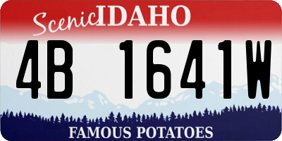 ID license plate 4B1641W