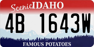 ID license plate 4B1643W