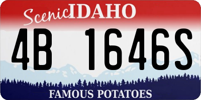 ID license plate 4B1646S