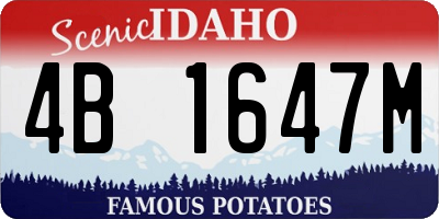 ID license plate 4B1647M