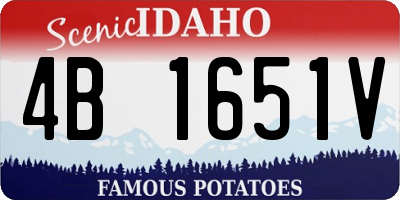 ID license plate 4B1651V