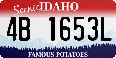 ID license plate 4B1653L