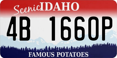 ID license plate 4B1660P