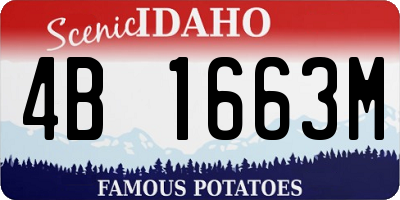 ID license plate 4B1663M