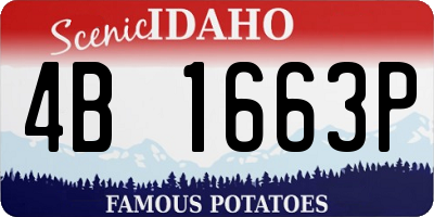 ID license plate 4B1663P