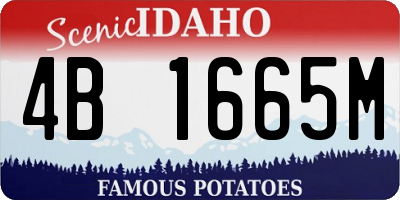 ID license plate 4B1665M