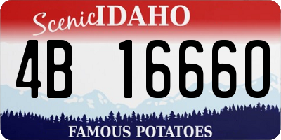 ID license plate 4B1666O
