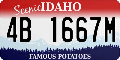 ID license plate 4B1667M