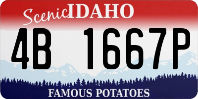 ID license plate 4B1667P