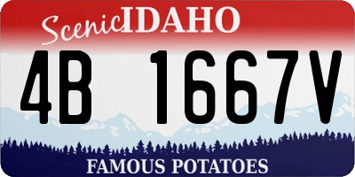 ID license plate 4B1667V