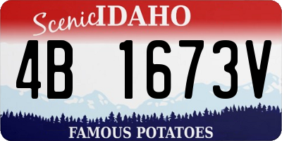 ID license plate 4B1673V