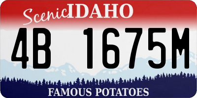 ID license plate 4B1675M