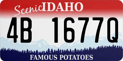 ID license plate 4B1677Q