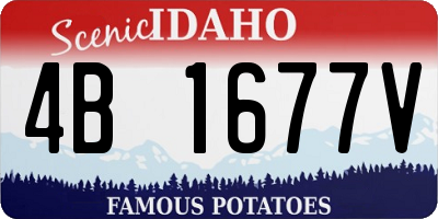 ID license plate 4B1677V