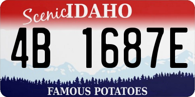 ID license plate 4B1687E