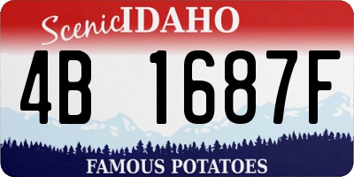 ID license plate 4B1687F