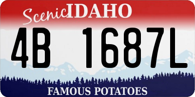 ID license plate 4B1687L