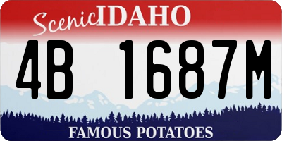 ID license plate 4B1687M