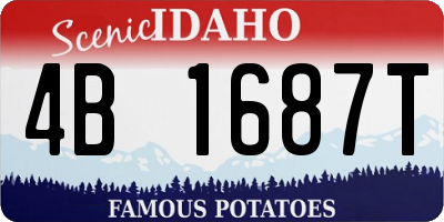 ID license plate 4B1687T