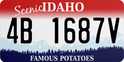 ID license plate 4B1687V