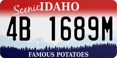 ID license plate 4B1689M
