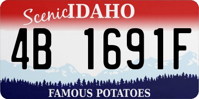 ID license plate 4B1691F