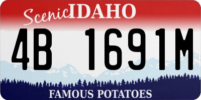 ID license plate 4B1691M