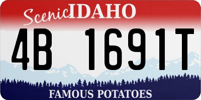 ID license plate 4B1691T