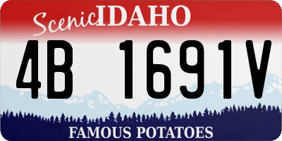 ID license plate 4B1691V