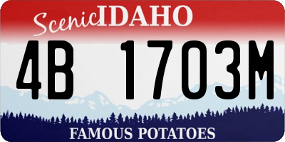 ID license plate 4B1703M