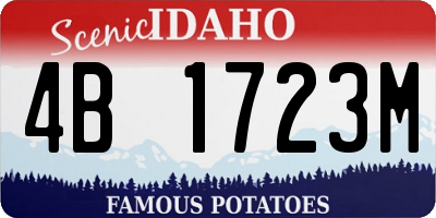 ID license plate 4B1723M