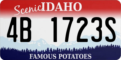 ID license plate 4B1723S