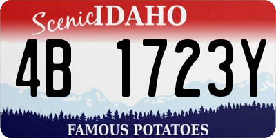 ID license plate 4B1723Y