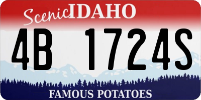 ID license plate 4B1724S