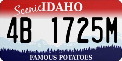 ID license plate 4B1725M