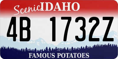ID license plate 4B1732Z