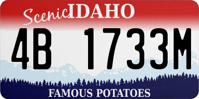 ID license plate 4B1733M