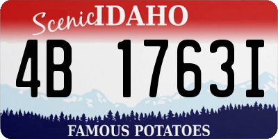 ID license plate 4B1763I