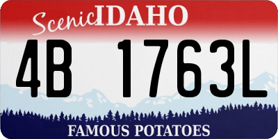 ID license plate 4B1763L