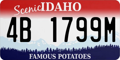 ID license plate 4B1799M