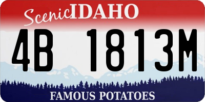 ID license plate 4B1813M