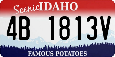 ID license plate 4B1813V