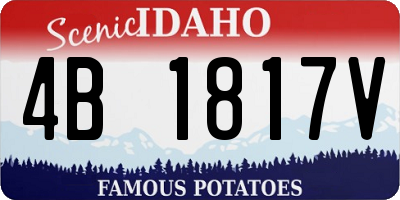 ID license plate 4B1817V