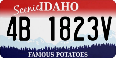 ID license plate 4B1823V