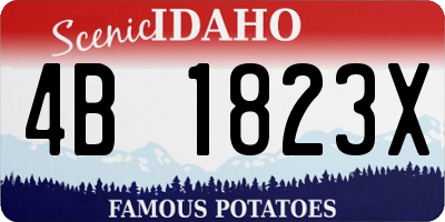 ID license plate 4B1823X