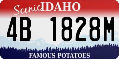 ID license plate 4B1828M
